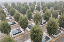 济南青龙山公墓